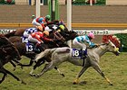 Snow Dragon Shocks Japan's Sprinters Stakes Snow Dragon Shocks Japan's Sprinters Stakes