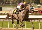 Bay Shore Stakes Debut for Favorite Tale Bay Shore Stakes Debut for Favorite Tale