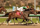Wild Dude wins the Palos Verdes.