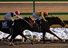 Upsetter Copano Rickey Rocks February Stakes Upsetter Copano Rickey Rocks February Stakes