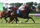 Charming Kitten rallies late to win the Belmont Gold Cup Invitational.<br><a target="blank" href="http://photos.bloodhorse.com/AtTheRaces-1/At-the-Races-2014/i-W8ppVrG">Order This Photo</a>