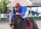 Social Inclusion will make his first stakes start in the Wood Memorial.<br><a target="blank" href="http://photos.bloodhorse.com/AtTheRaces-1/At-the-Races-2014/35724761_2vdnSX#!i=3119451640&k=6Zc9p9v">Order This Photo</a>