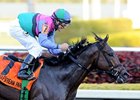 Itsmyluckyday<br><a target="blank" href="http://photos.bloodhorse.com/AtTheRaces-1/at-the-races-2013/27257665_QgCqdh#!i=2337245250&k=LTKGMKL">Order This Photo</a>