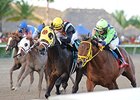 Wildcat Red (right) finished 2nd in the Gulfstream Park Derby.