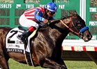 Bayern<br><a target="blank" href="http://photos.bloodhorse.com/AtTheRaces-1/At-the-Races-2014/i-t5xP6jJ">Order This Photo</a>
