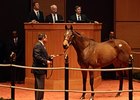 Devious Intent, Hip 138, was today's sale topper.