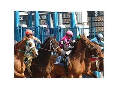 New York Racing