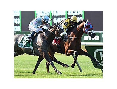 Hangover Kid comes up the inside to win the Bowling Green over Grandeur.<br><a target="blank" href="http://photos.bloodhorse.com/AtTheRaces-1/At-the-Races-2014/i-Jd59mkr">Order This Photo</a>