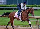 Empress of Midway worked four furlongs in :49 4/5 at Churchill Downs on April 25,2014. <br><a target="blank"http://photos.bloodhorse.com/TripleCrown/2014-Triple-Crown/Kentucky-Derby-Workouts/i-ZHdSxF3">Order This Photo</a>