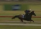 Caulfield Cup: Jockey Corey Brown Caulfield Cup: Jockey Corey Brown