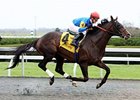 Newsdad won the Fayette Stakes at Keeneland in 2012.