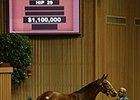 Beholder's Half Sister Brings $1.1 Million Beholder's Half Sister Brings $1.1 Million