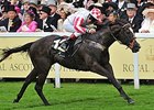 Sole Power to Try for Second Nunthorpe Win Sole Power to Try for Second Nunthorpe Win