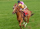 Wise Dan Gets New Season Off to Winning Start Wise Dan Gets New Season Off to Winning Start