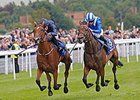 Tapestry runs away from Taghrooda to win the Yorkshire Oaks.<br><a target="blank" href="http://photos.bloodhorse.com/AtTheRaces-1/At-the-Races-2014/i-3rsrrJ3">Order This Photo</a>