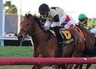 Twilight Eclipse Targets Belmont Gold Cup Twilight Eclipse Targets Belmont Gold Cup