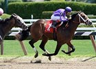 Corfu <br><a target="blank" href="http://photos.bloodhorse.com/AtTheRaces-1/at-the-races-2013/27257665_QgCqdh#!i=2657031645&k=pgPnPhS">Order This Photo</a>