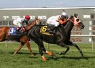 Ben's Cat is cross-entered in the De Francis Dash and the Laurel Dash Stakes.