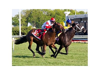 Real Solution (left) won last year's Arlington Million via disqualification.