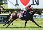 Real Solution rolls home to win the Knob Creek Manhattan Stakes. <br><a target="blank" href="http://photos.bloodhorse.com/AtTheRaces-1/At-the-Races-2014/i-QTJn9W6">Order This Photo</a>