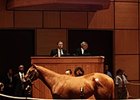 Bedford Land was the Fasig-Tipton Kentucky July Sale topper.