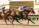 Fed Biz defeated Goldencents in the 2013 Pat O'Brien.