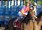 Medal Count <br><a target="blank" href="http://photos.bloodhorse.com/TripleCrown/2014-Triple-Crown/Belmont-Stakes-146/i-vN2ZdPw">Order This Photo</a>