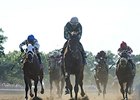 Zivo leads them home in the Suburban.<br><a target="blank" href="http://photos.bloodhorse.com/AtTheRaces-1/At-the-Races-2014/i-qKqNPzg">Order This Photo</a>