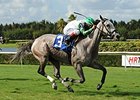 Wait No More broke her maiden by 2 1/4 lengths on October 10.<br><a target="blank" href="http://photos.bloodhorse.com/AtTheRaces-1/At-the-Races-2014/i-HKwsxH9">Order This Photo</a>