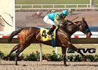 Jojo Warrior wins the Torrey Pine Stakes.