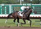 2013 New Jersey bred horse of the year Geeky Gorgeous will run in the Eleven North Handicap.