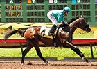 Story to Tell wins the W.L. Proctor Memorial Stakes.