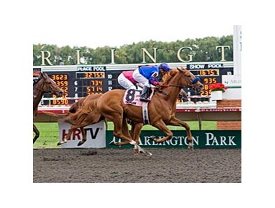 Mister Marti Gras won the Washington Park Handicap in 2011.