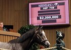 Hip 749, a half brother to 2013 Breeders' Cup Juvenile (gr. I) winner New Year's Day, was purchased for $2.2 million on Sept. 11.