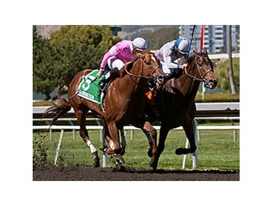 Summer Hit wins the All American Stakes.