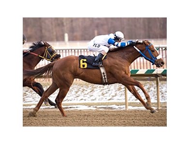 Russell Road will try to reach millionaire status in the West Virginia Breeders' Classic.