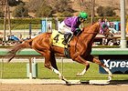 California Chrome