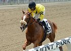 Bustin It Heads New York Breeders' Futurity Bustin It Heads New York Breeders' Futurity