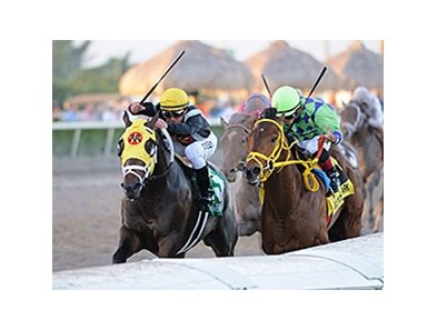 Wildcat Red in the Fountain of Youth.
<br><a target="blank" href="http://photos.bloodhorse.com/AtTheRaces-1/At-the-Races-2014/35724761_2vdnSX#!i=3088433033&k=GkQHmSV">Order This Photo</a>