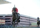 Wicked Strong in the Wood Memorial
<br><a target="blank" href="http://photos.bloodhorse.com/AtTheRaces-1/At-the-Races-2014/35724761_2vdnSX#!i=3162318924&k=knKG6xg">Order This Photo</a>
