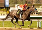 Midnight Hawk won the Sham Stakes on January 11.