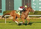 Testa Rossi comes home strong to win the Florida Oaks at Tampa Bay Downs.