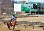 Mountaineer Casino Racetrack & Resort