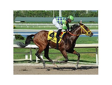 Wildcat Red
<br><a target="blank"
href="http://photos.bloodhorse.com/AtTheRaces-1/At-the-Races-2014/i-nw5W2F2">Order This Photo</a>