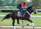 Ride On Curlin<br><a target="blank" href="http://photos.bloodhorse.com/TripleCrown/2014-Triple-Crown/Belmont-Stakes-146/i-6fp7GNw">Order This Photo</a>