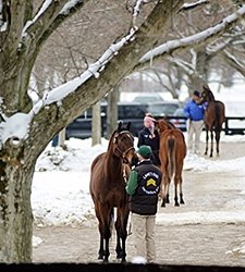 F-T Sale Shows Consignors, Buyers Resilient F-T Sale Shows Consignors, Buyers Resilient