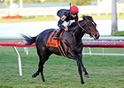 Mr Speaker streaks home to win the Dania Beach Stakes.<br><a target="blank" href="http://photos.bloodhorse.com/AtTheRaces-1/at-the-races-2013/27257665_QgCqdh#!i=2982486536&k=3FpqGhz">Order This Photo</a>
