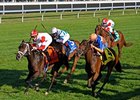 Kitten's Dumplings Quirky Winner of QEII Kitten's Dumplings Quirky Winner of QEII