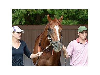 Wise Dan at Saratoga on August 28.<br><a target="blank" href="http://photos.bloodhorse.com/AtTheRaces-1/At-the-Races-2014/i-rQZxDvw">Order This Photo</a>