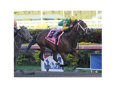Palace Malice won the 2014 Gulfstream Park Handicap. <br><a target="blank" href="http://photos.bloodhorse.com/AtTheRaces-1/At-the-Races-2014/35724761_2vdnSX#!i=3112265326&k=NhwzNDM">Order This Photo</a>